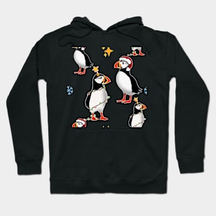 Puffins in Christmas Gear Hoodie